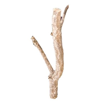 HabiStat Cork Branch